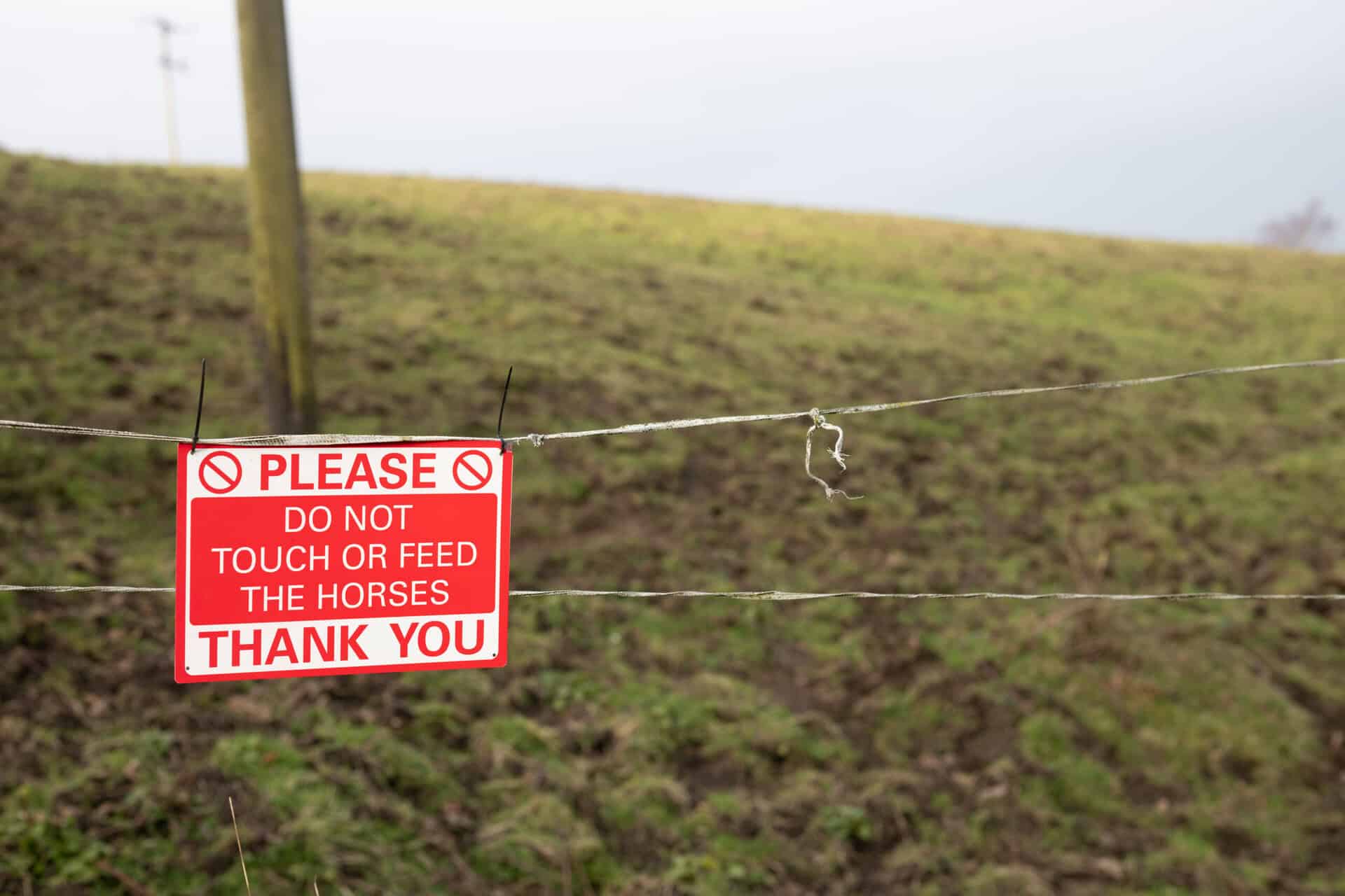 Horses Do Not Touch Warning In Field